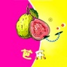 芭乐app下载免费安装中文