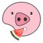小猪视频app官网下载版