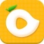 芒果视频app免费观看
