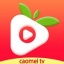 草莓app官方视频下载器