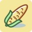 玉米视频苹果版