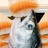 鲑鱼吃寿司 v1.0.1 安卓版