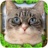 流浪猫模拟器 v1 安卓版