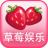 大草莓娱乐 V1.0 安卓版