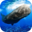 抹香鲸模拟器 V1.0 安卓版