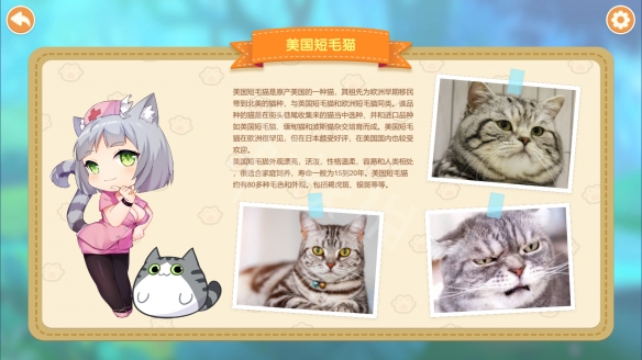 猫咪小姐2猫娘有哪些 Miss Neko2全猫娘介绍