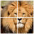 野生动物拼图WildAnimalsPuzzle V3.26 安卓版