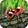 蚂蚁生存模拟器 V1.01 安卓版