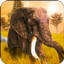 超级大象模拟器 V1.0.4 安卓版