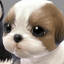 宠物饲养员游戏 V1.0.0 安卓版