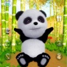 旅行熊猫历险记 v2.1